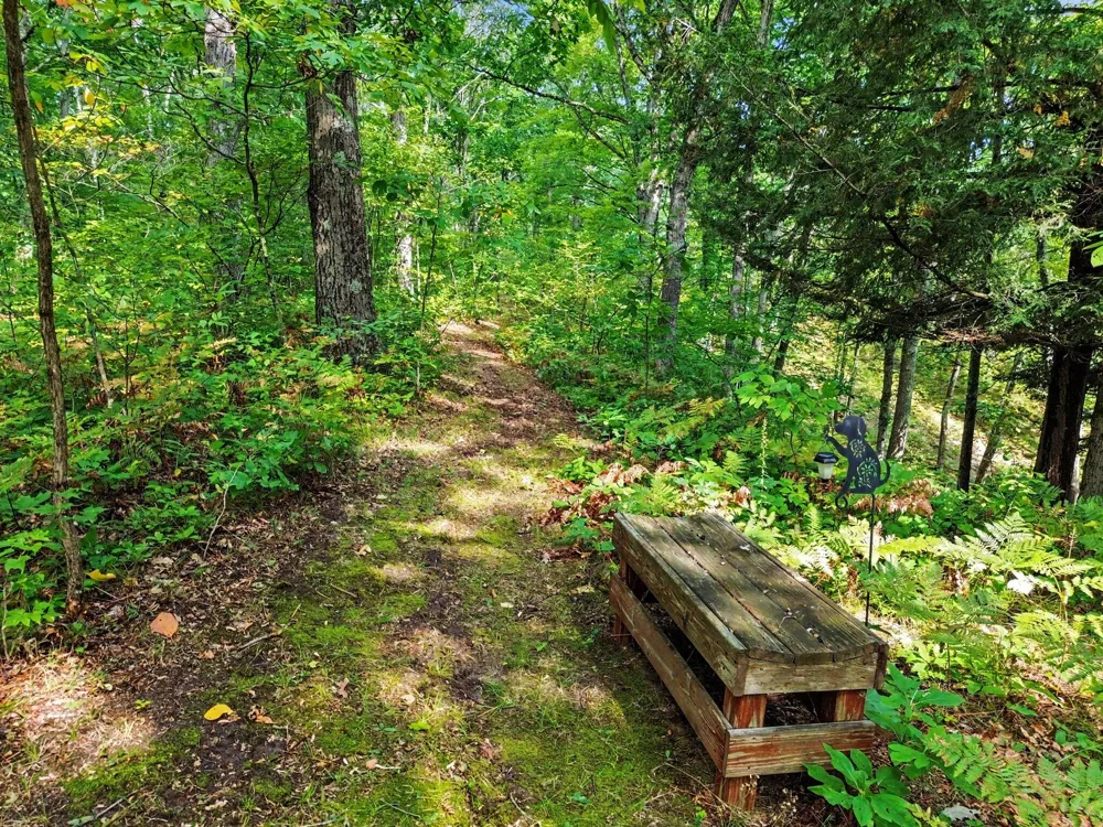 11404 Lorenson Road #+ 10 acres Montague, MI 49437