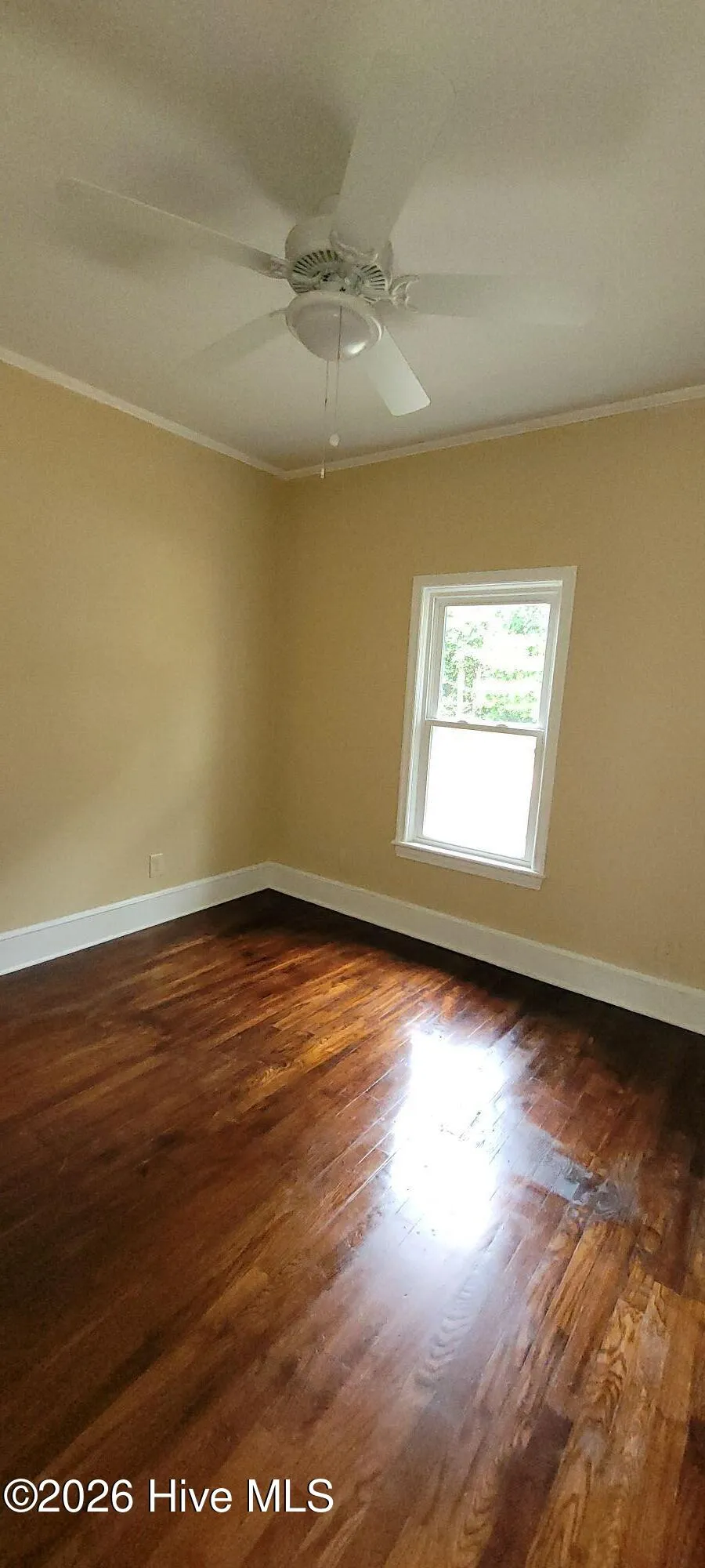 130 Zachmann Street Aiken, SC 29803