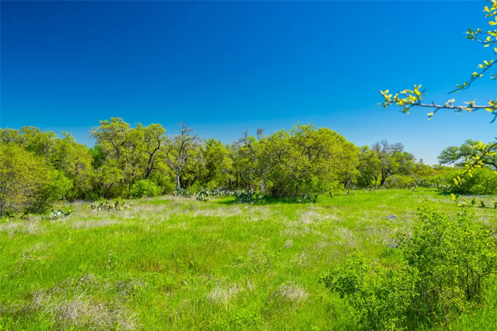 Paleface Ranch Road S Spicewood, TX 78669