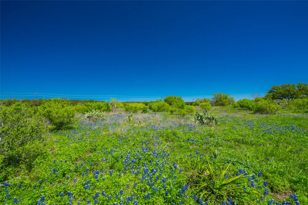 Paleface Ranch Road S Spicewood, TX 78669