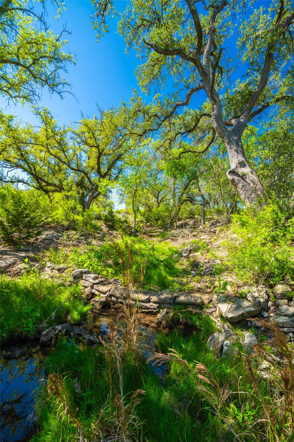 Paleface Ranch Road S Spicewood, TX 78669