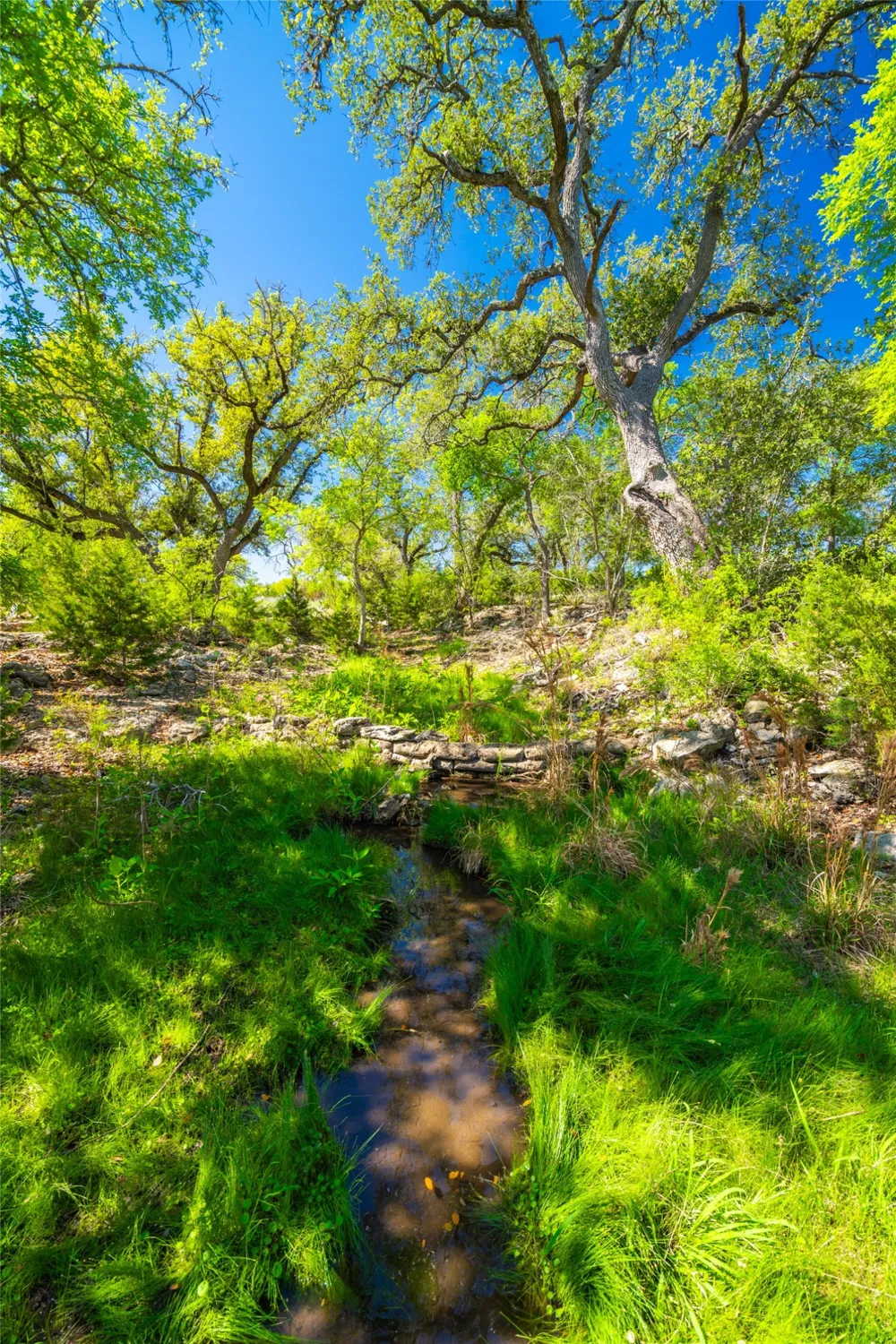 Paleface Ranch Road S Spicewood, TX 78669
