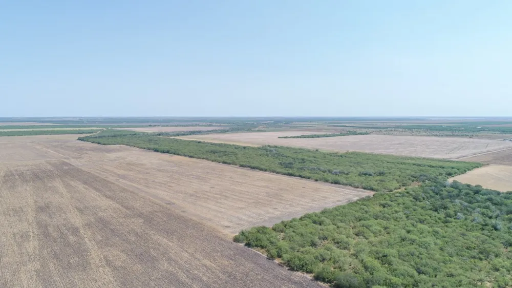 County Road 331 Alice, TX 78332