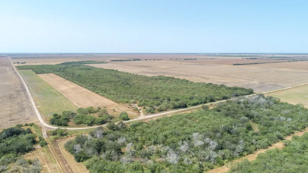 County Road 331 Alice, TX 78332