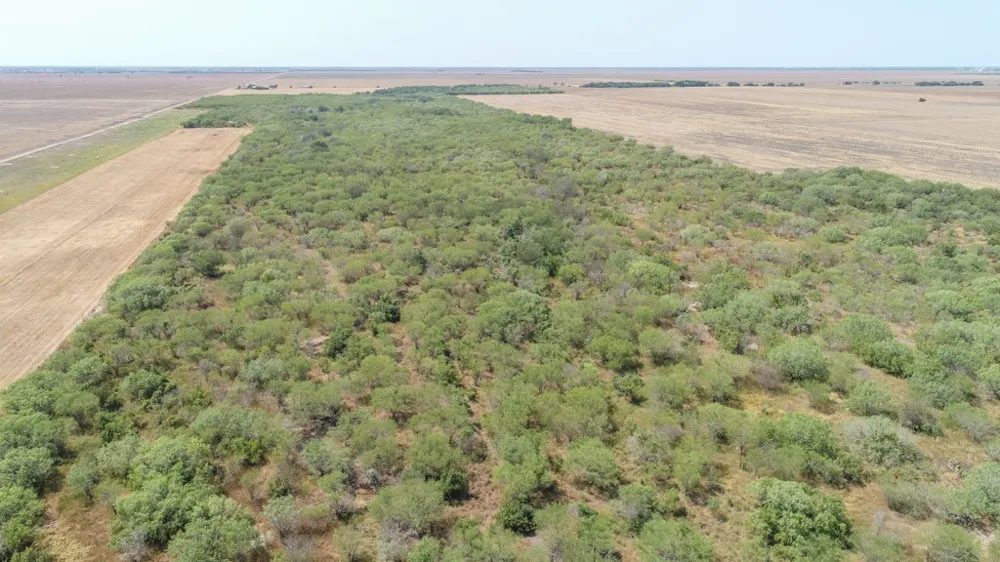 County Road 331 Alice, TX 78332