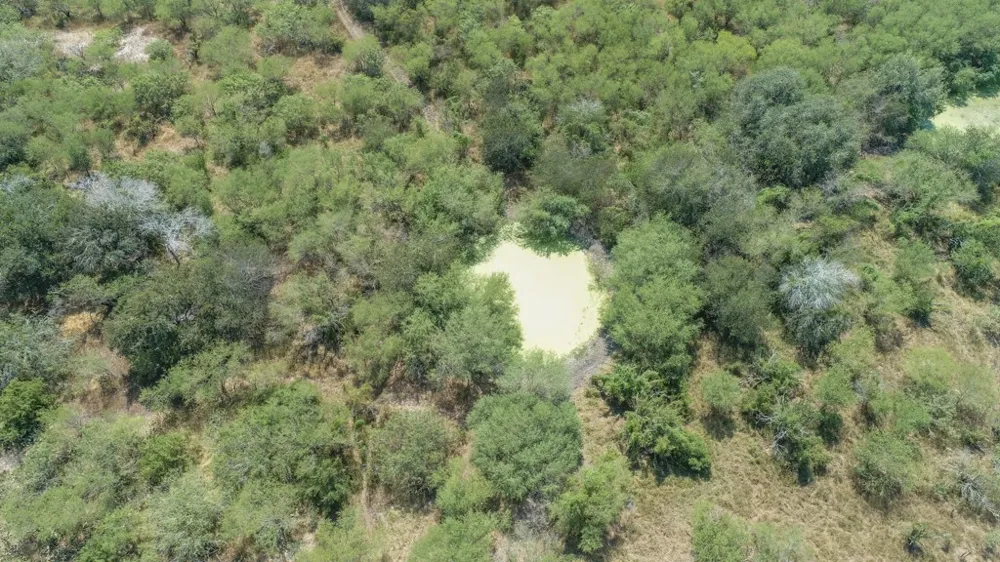 County Road 331 Alice, TX 78332