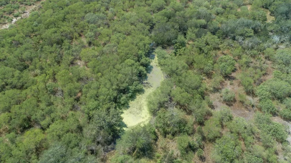 County Road 331 Alice, TX 78332