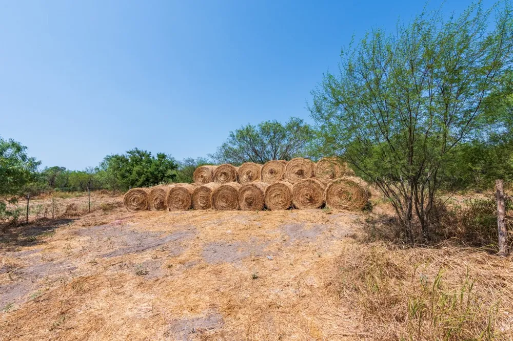 County Road 331 Alice, TX 78332