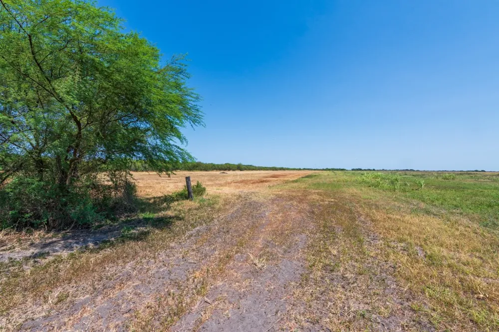 County Road 331 Alice, TX 78332
