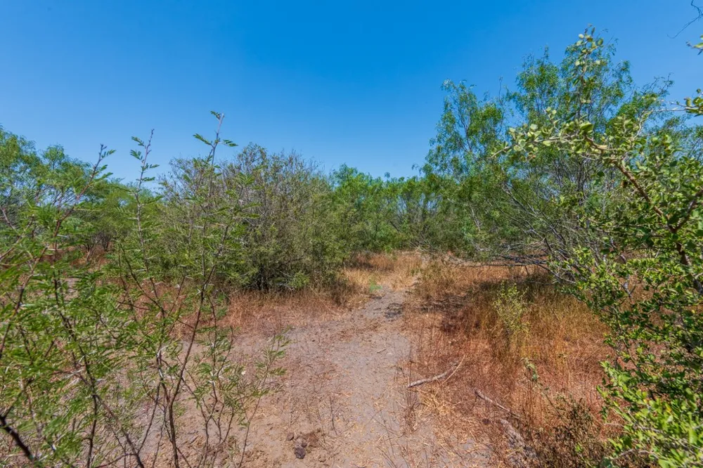 County Road 331 Alice, TX 78332