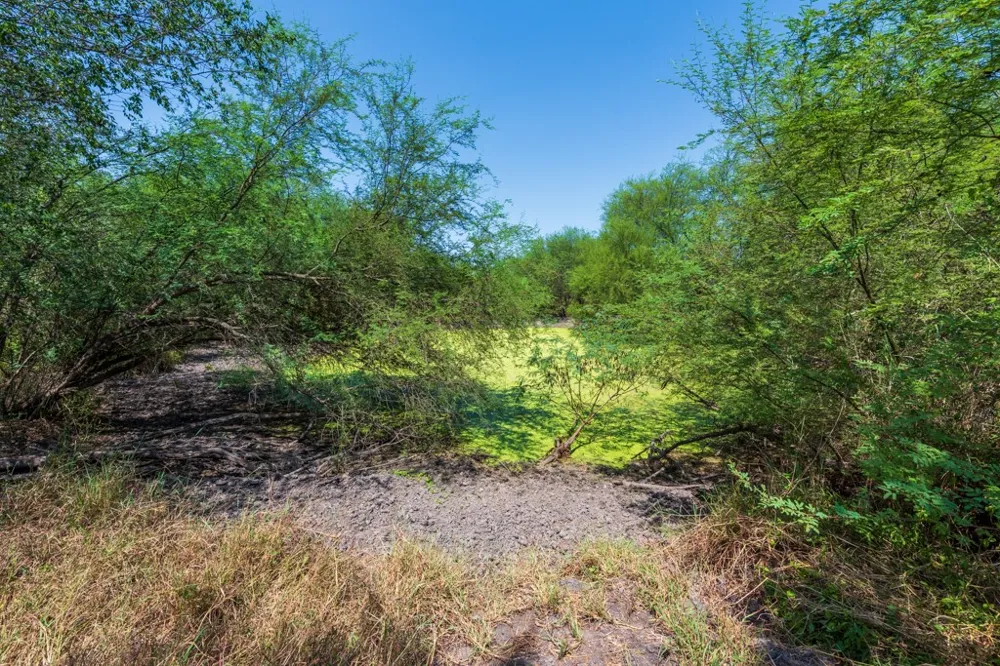 County Road 331 Alice, TX 78332