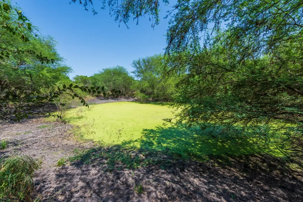 County Road 331 Alice, TX 78332