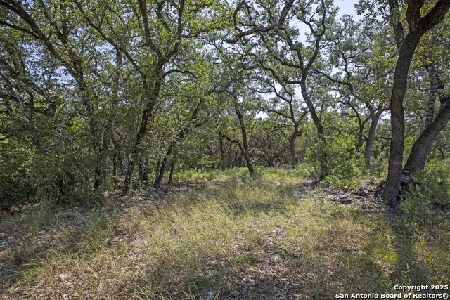 13931 Old Scenic Loop Rd Helotes, TX 78023