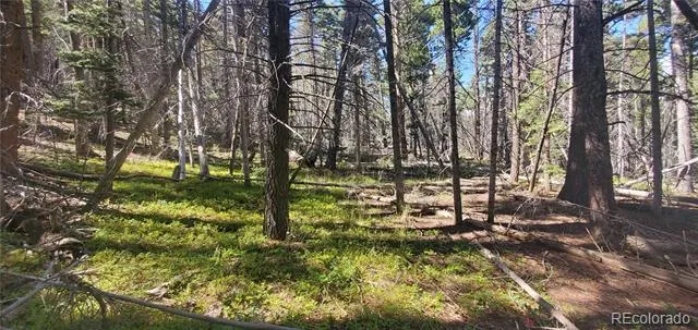 Lot 3427 Grojean Drive Fort Garland, CO 81133