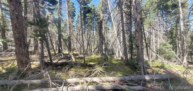Lot 3427 Grojean Drive Fort Garland, CO 81133