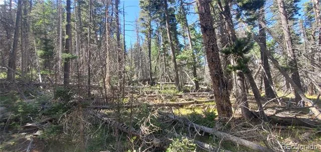 Lot 3427 Grojean Drive Fort Garland, CO 81133