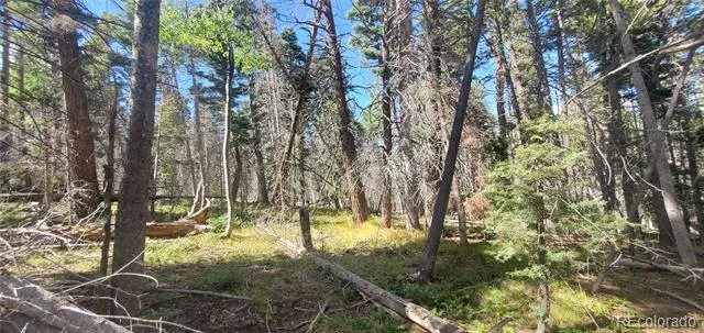 Lot 3427 Grojean Drive Fort Garland, CO 81133
