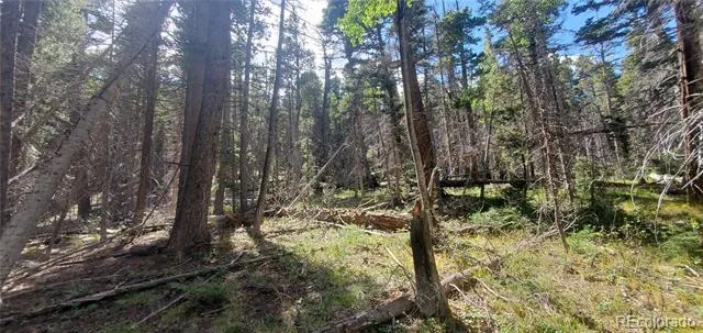 Lot 3427 Grojean Drive Fort Garland, CO 81133