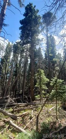 Lot 3427 Grojean Drive Fort Garland, CO 81133