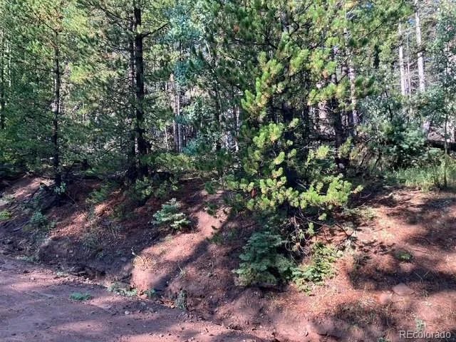 Lot 3427 Grojean Drive Fort Garland, CO 81133
