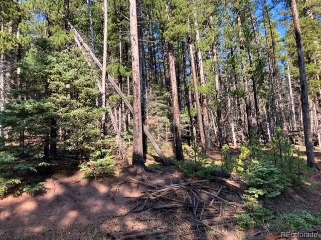 Lot 3427 Grojean Drive Fort Garland, CO 81133