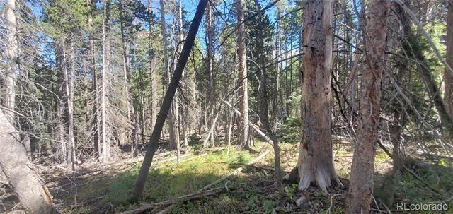 Lot 3427 Grojean Drive Fort Garland, CO 81133