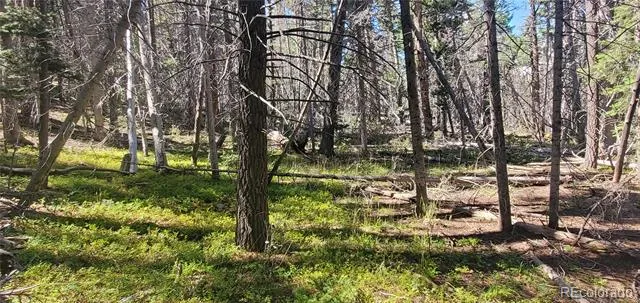 Lot 3427 Grojean Drive Fort Garland, CO 81133