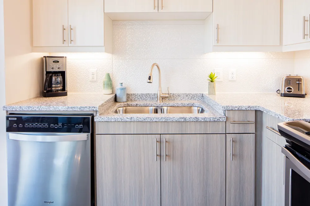830 Zang Boulevard #1317 Dallas, TX 75208