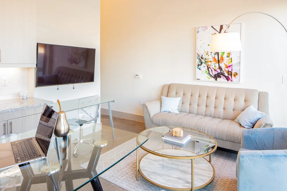 830 Zang Boulevard #1317 Dallas, TX 75208