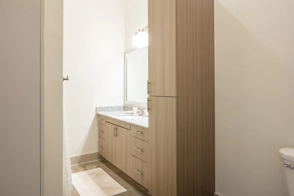 830 Zang Boulevard #1317 Dallas, TX 75208