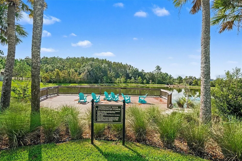 29967 SOUTHWELL LANE Wesley Chapel, FL 33543