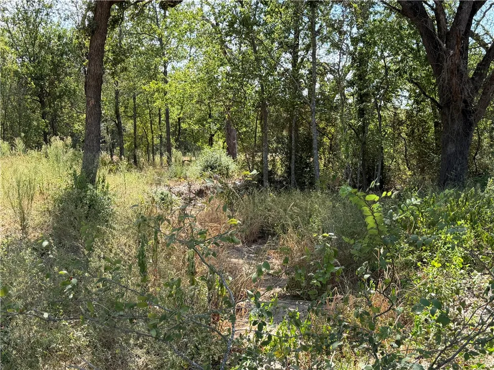 433 Cresent Bend Cameron, TX 76520