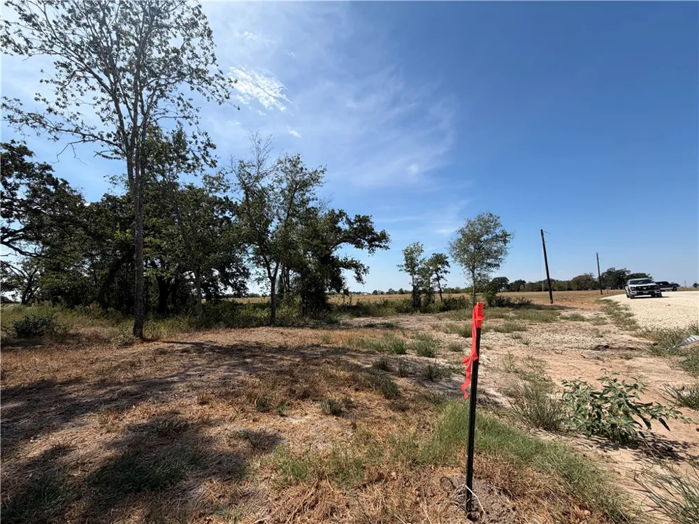 433 Cresent Bend Cameron, TX 76520