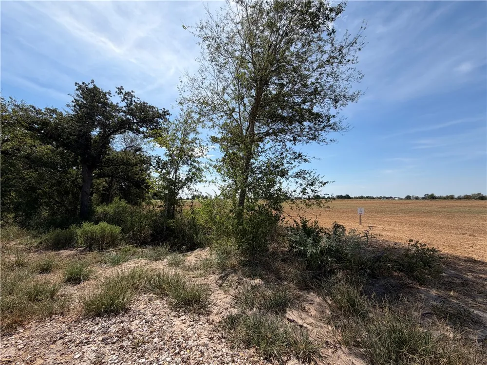 433 Cresent Bend Cameron, TX 76520