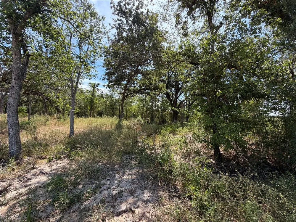 433 Cresent Bend Cameron, TX 76520