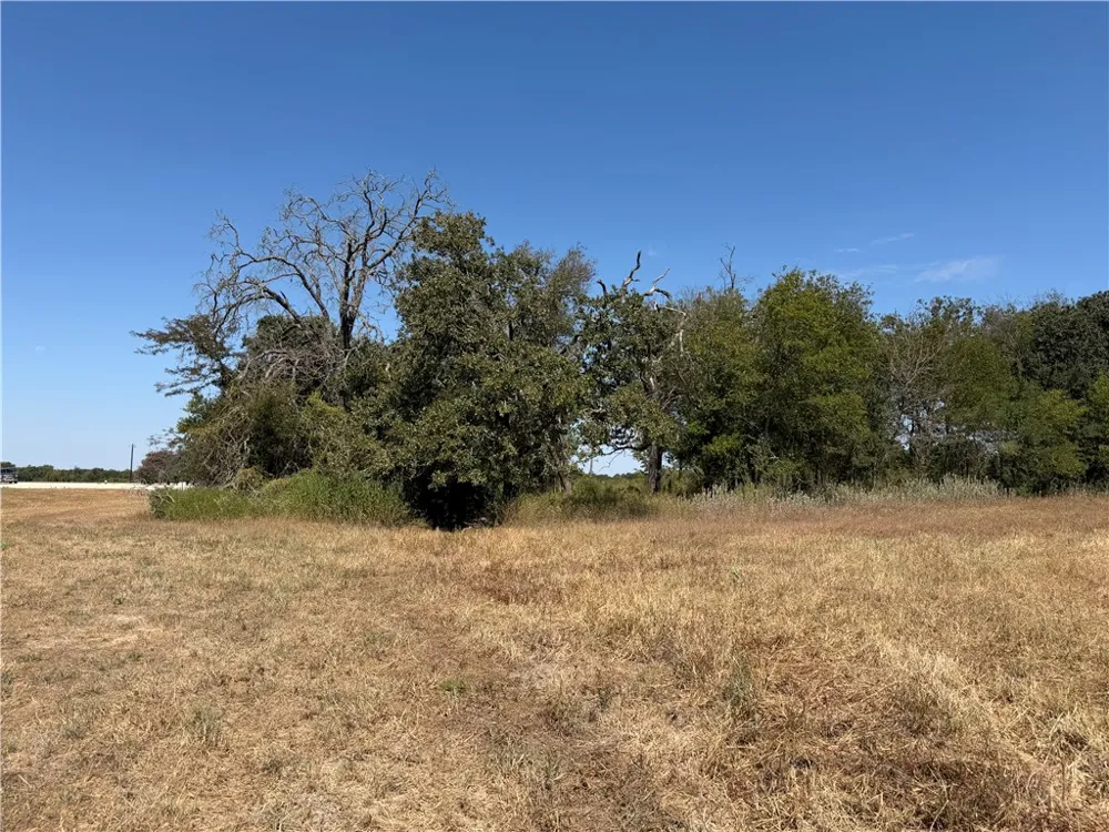 433 Cresent Bend Cameron, TX 76520
