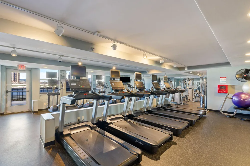 401 S 1st Street #1718 Minneapolis, MN 55401