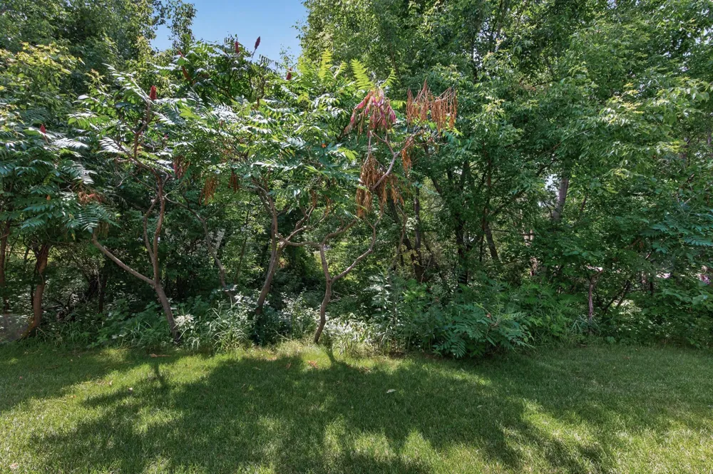 2637 Wilds Lane NW Prior Lake, MN 55372