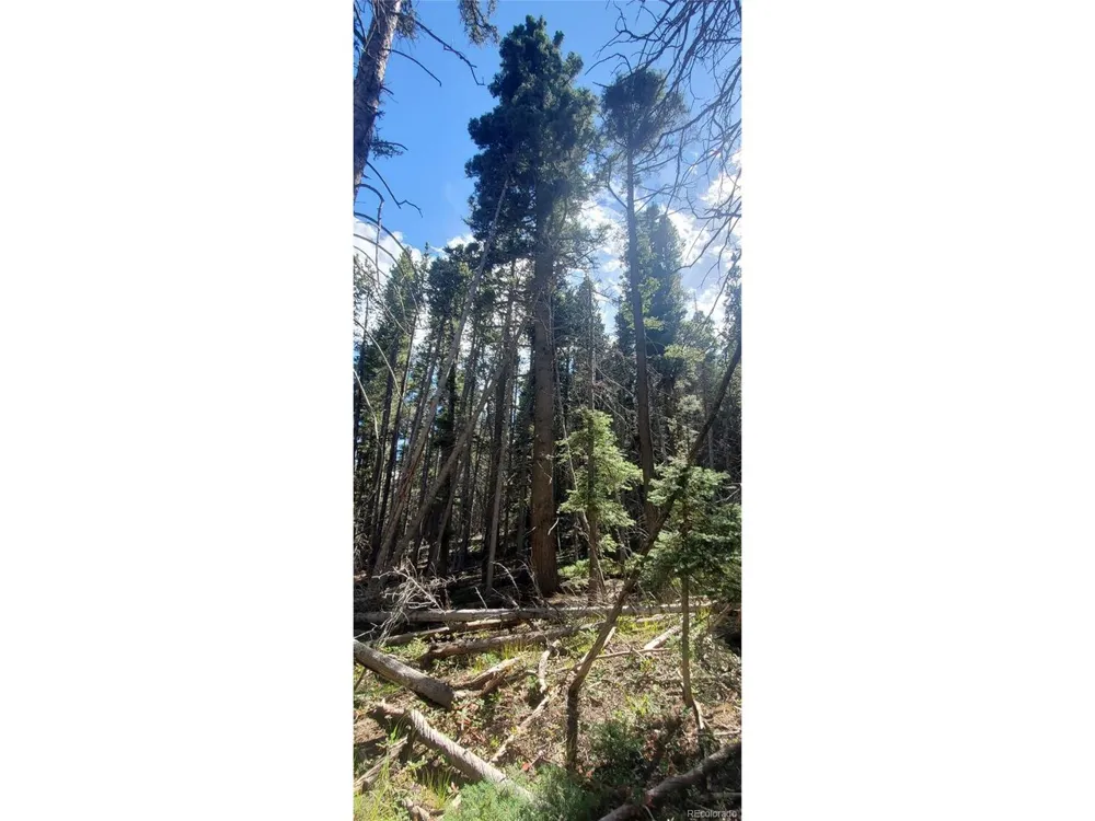 3427 Grojean Drive Fort Garland, CO 81133