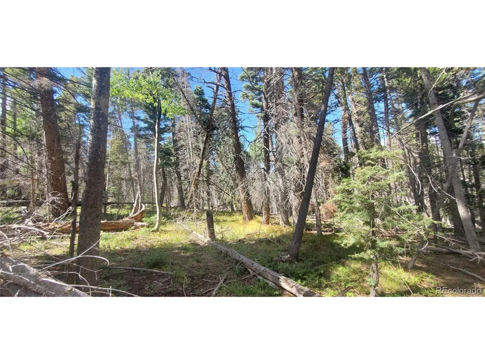 3427 Grojean Drive Fort Garland, CO 81133