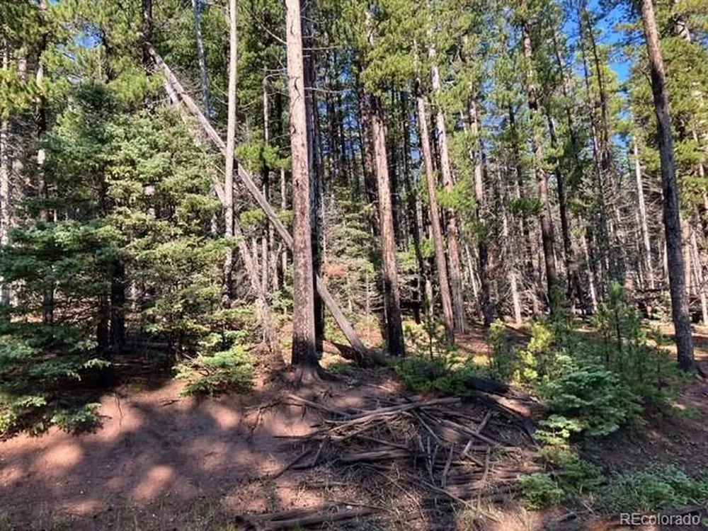 3427 Grojean Drive Fort Garland, CO 81133