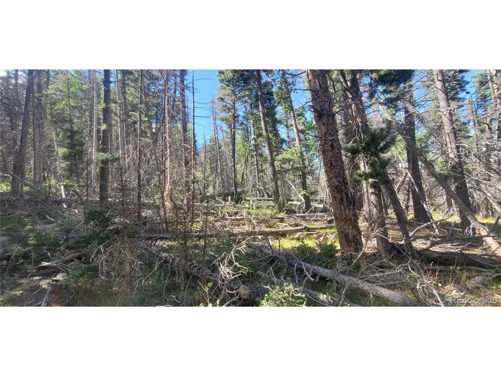 3427 Grojean Drive Fort Garland, CO 81133