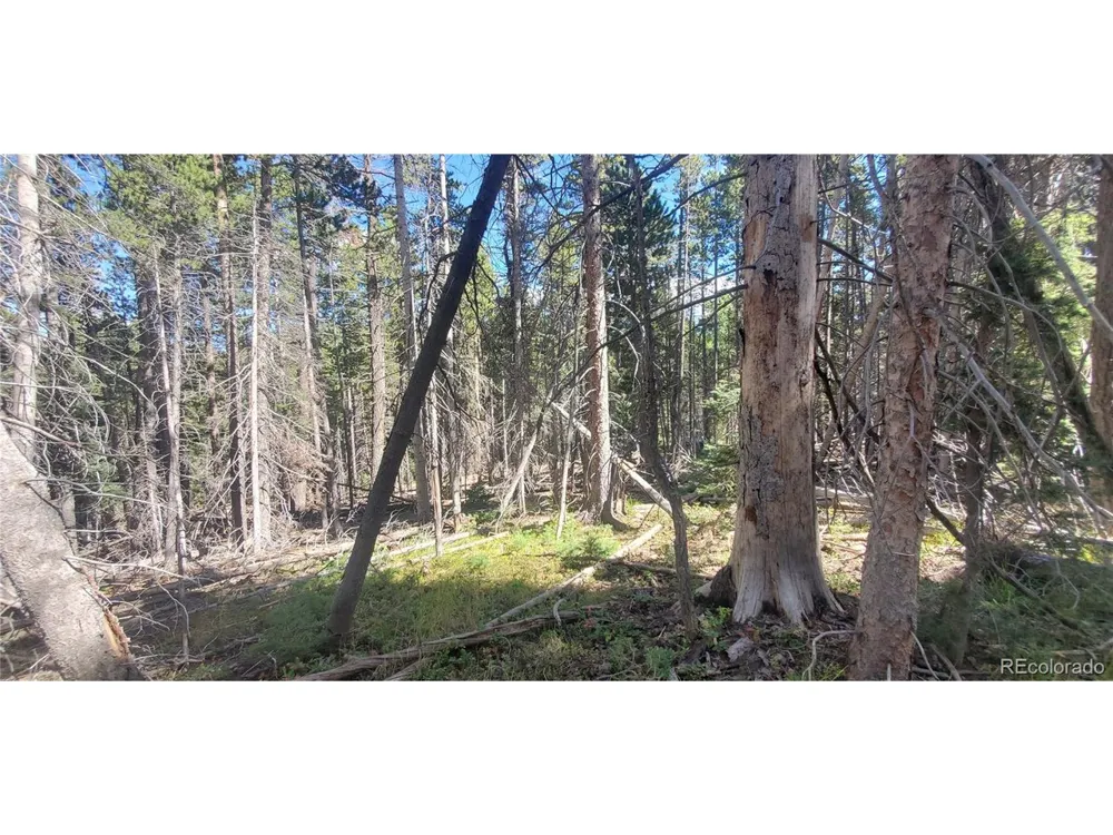 3427 Grojean Drive Fort Garland, CO 81133