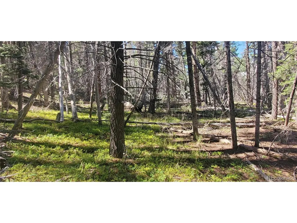 3427 Grojean Drive Fort Garland, CO 81133