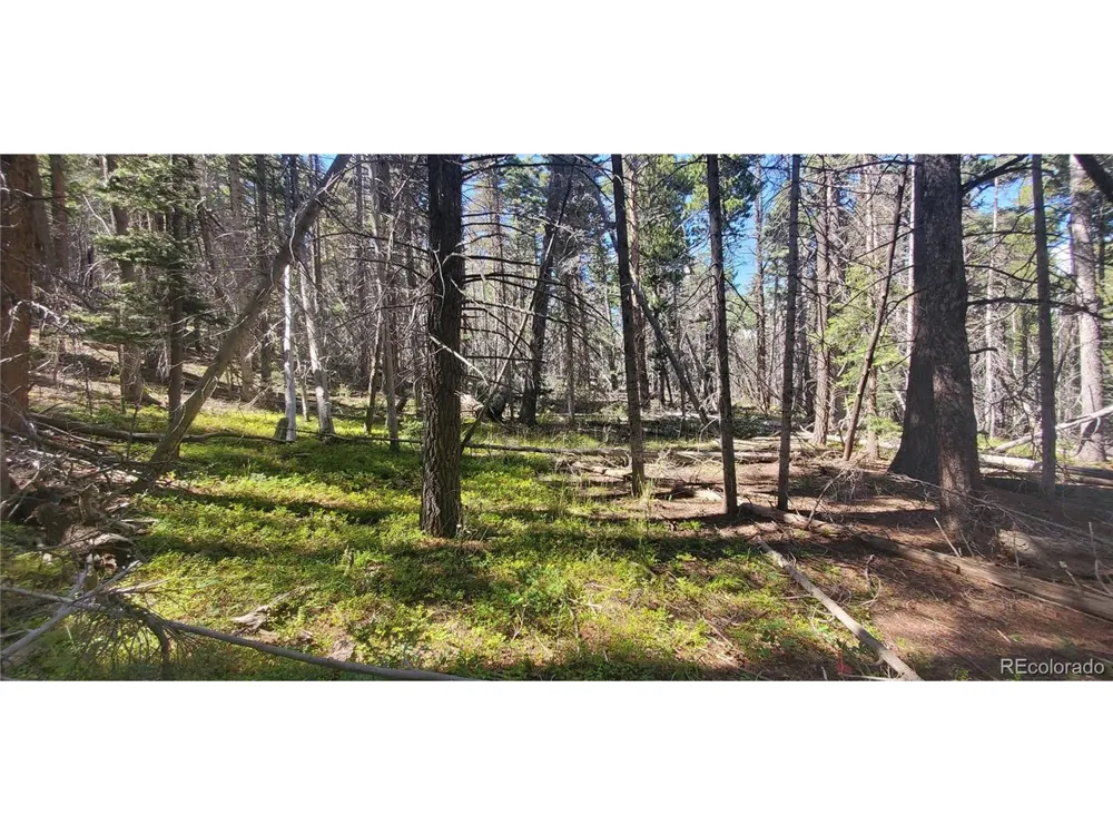 3427 Grojean Drive Fort Garland, CO 81133