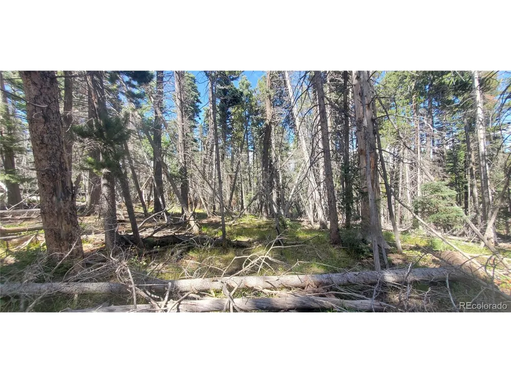 3427 Grojean Drive Fort Garland, CO 81133