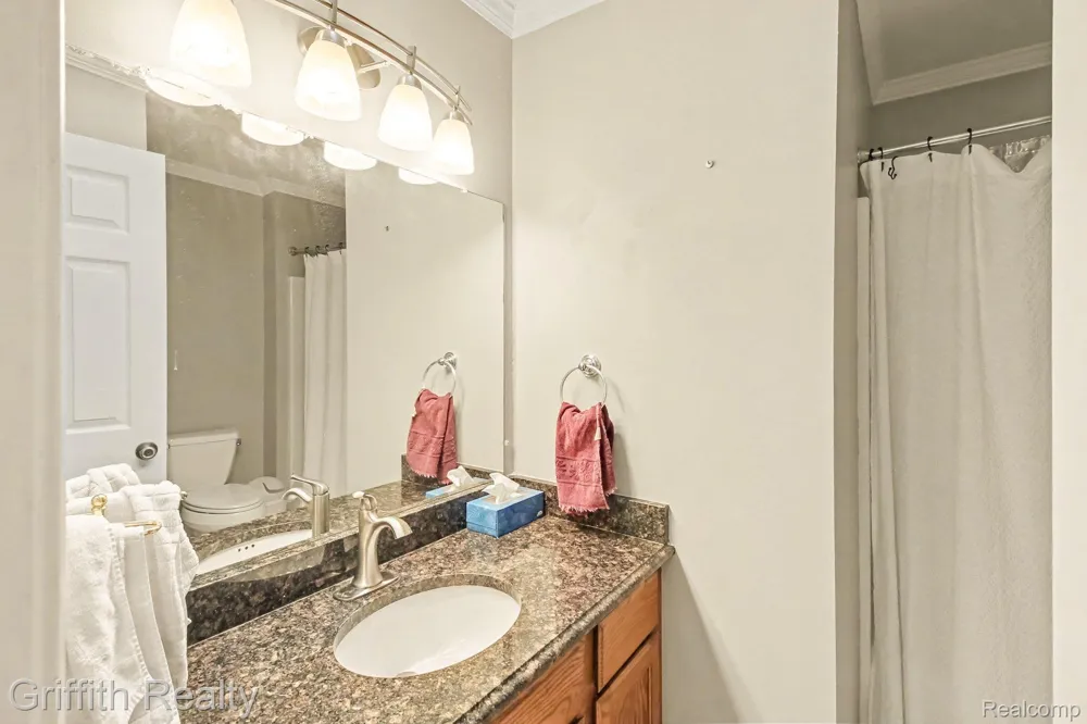216 Sisu Knoll Drive Brighton City, MI 48116