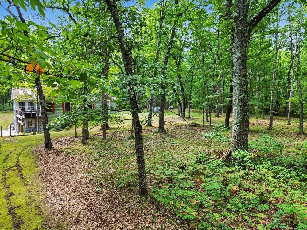 11404 Lorenson Road #+ 10 acres Montague Township, MI 49437