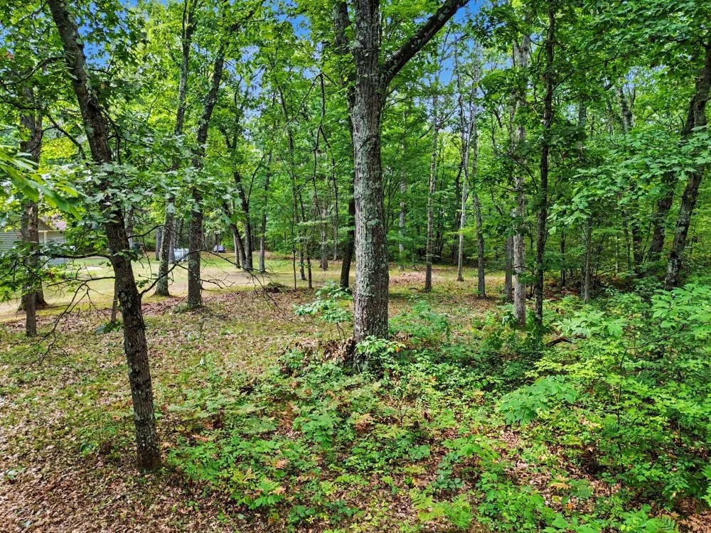 11404 Lorenson Road #+ 10 acres Montague Township, MI 49437