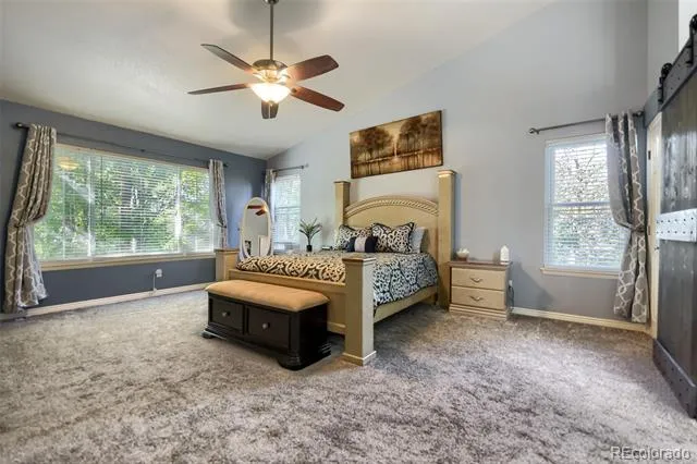 4969 Golden Valley Trail Castle Rock, CO 80109